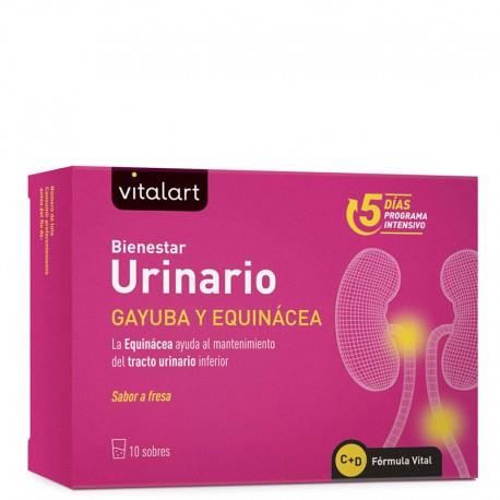 VITALART URINARIO