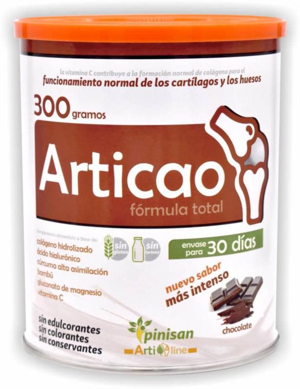 ARTICAO CHOCOLATE 300 GR PINISAN